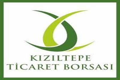 KIZILTEPE TB
