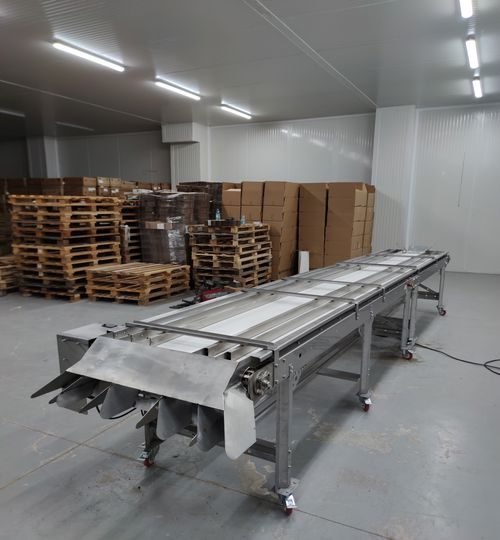 WhatsApp Image 2024-10-17 at 15.15.08 (3)_500x540